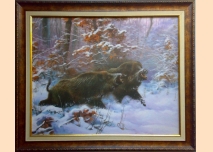 Wild boars - 1